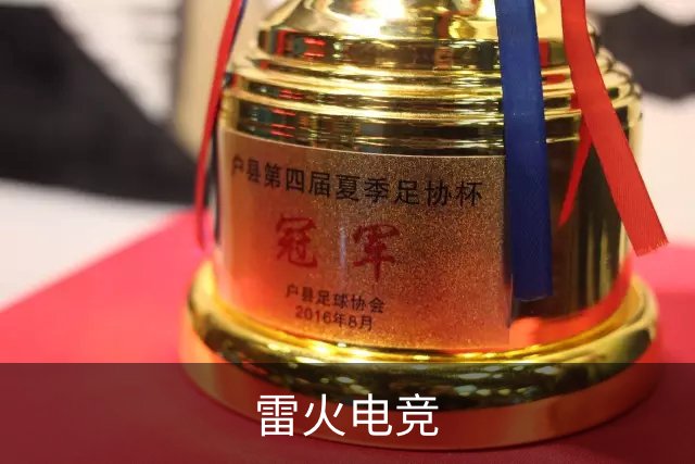 雷火电竞 公司简介